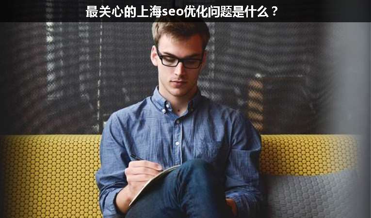 最關(guān)心的上海seo優(yōu)化問題是什么？